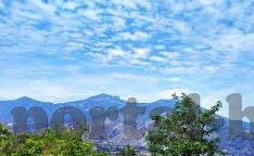 世界杯竞彩 中奖大神-世界杯竞彩，中奖大神的传奇故事