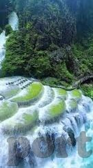 烟雨江湖九游版下载-烟雨江湖九游版，解锁武侠世界的无限可能